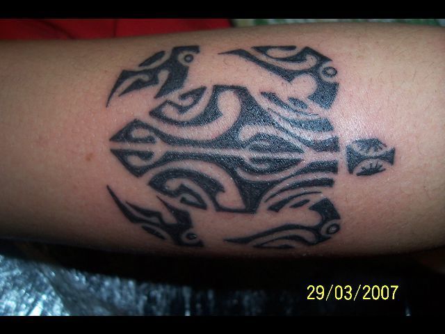 tatouage tortue maori. modele tortue maori